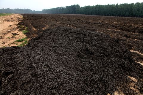 污水處理廠傾倒的污泥