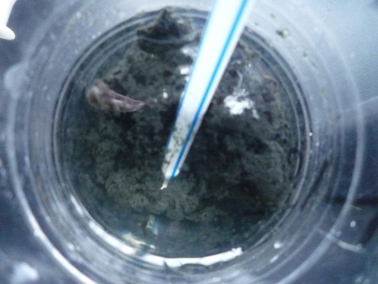 絮凝效果