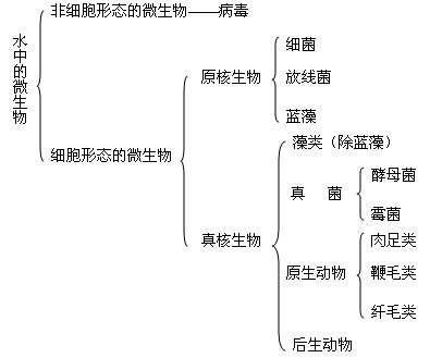 水中的微生物